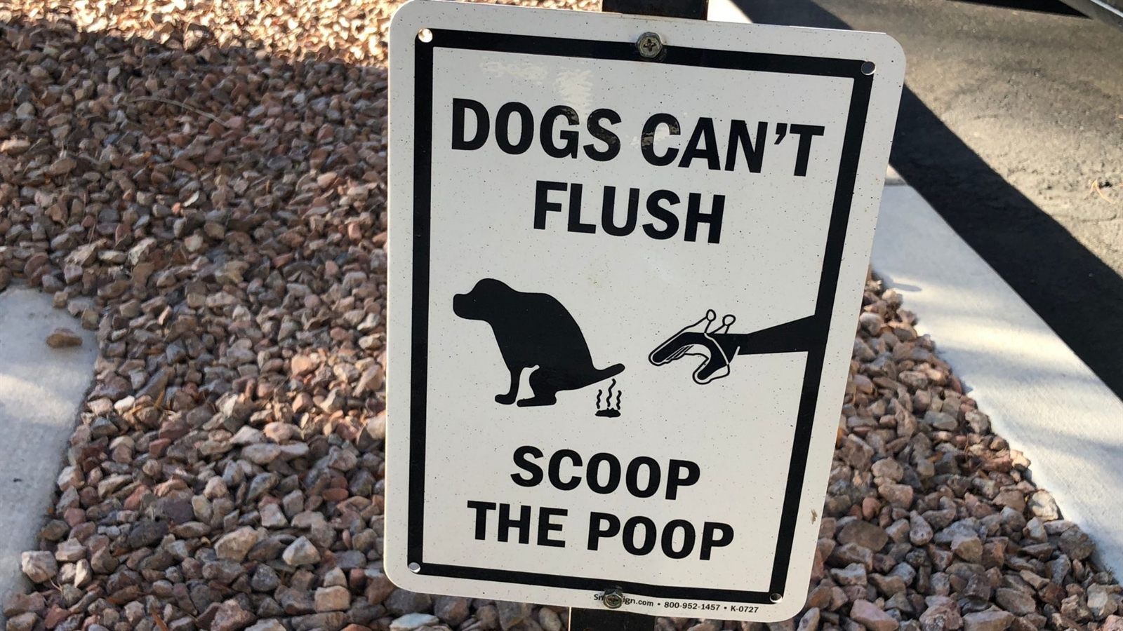 Pooper scooper cleanup near small dog
