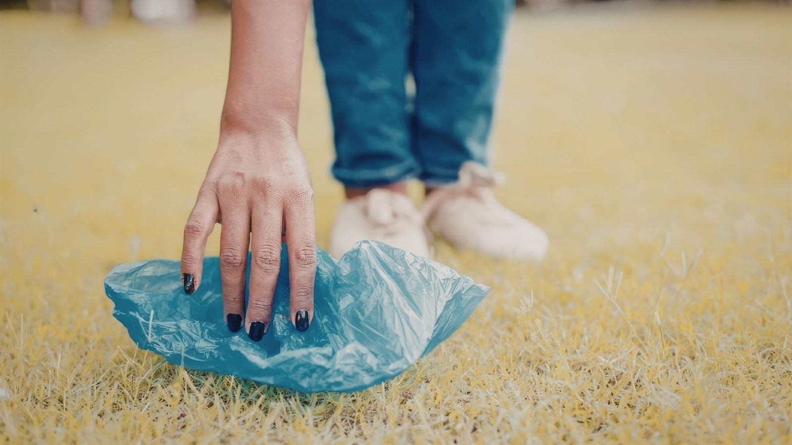 Clean grass area for dogs